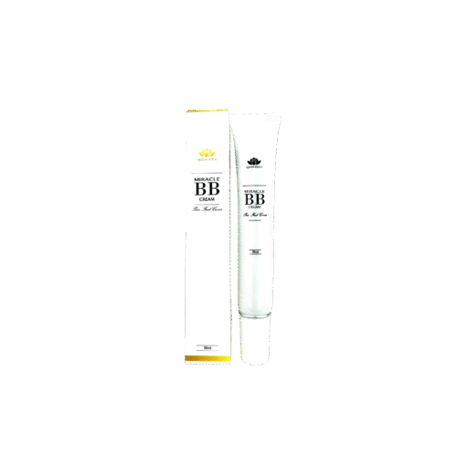 Bút Che Khuyết Điểm BB